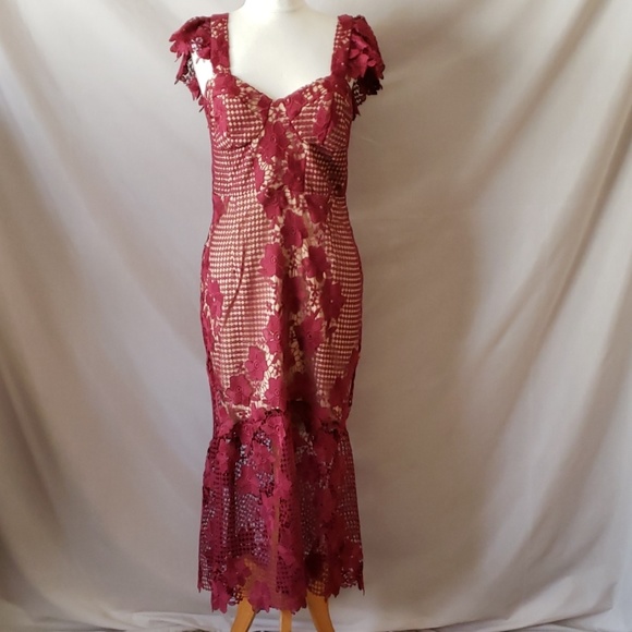 New Bardot Lucy Lace Midi dress - Picture 3 of 8